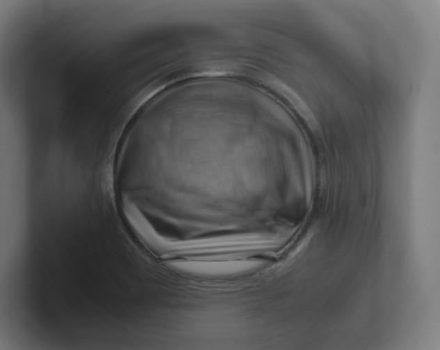 X0000102011465200808011132
