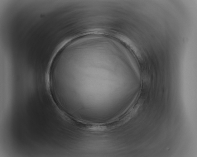X0000102011466200808011132
