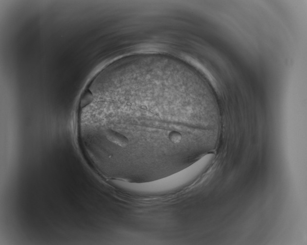 X0000102011467200808011132