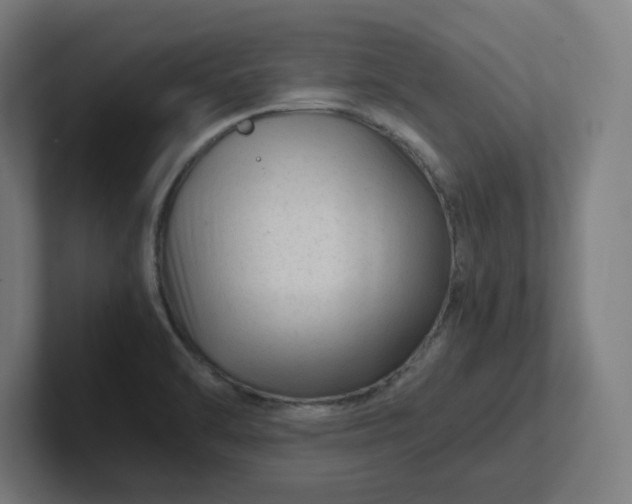 X0000102011470200808011132