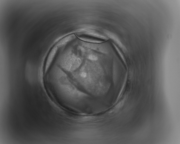 X0000102011471200808011132