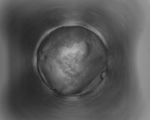X0000102011472200808011132