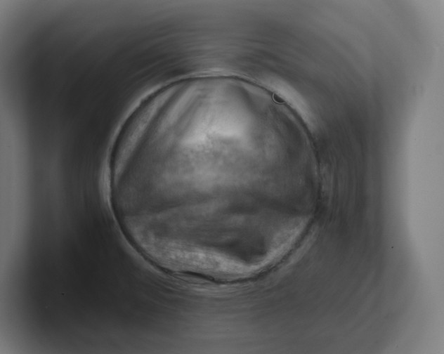 X0000102011476200808011132