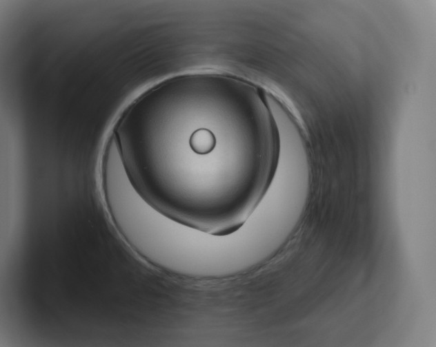 X0000102011480200808011132