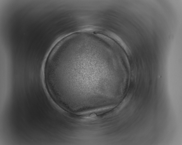 X0000102011483200808011132