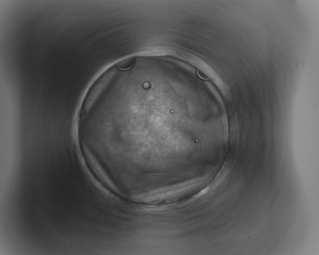 X0000102011484200808011132