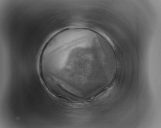 X0000102011485200808011132