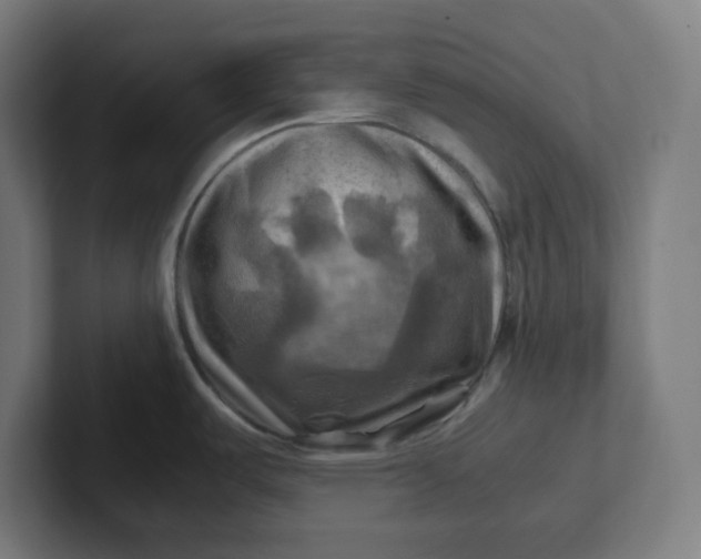 X0000102011487200808011132