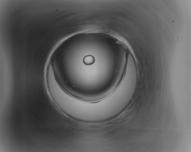 X0000102011488200808011132