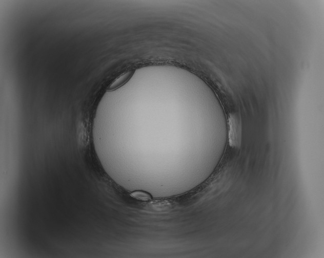 X0000102011491200808011131