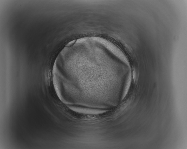 X0000102011492200808011131