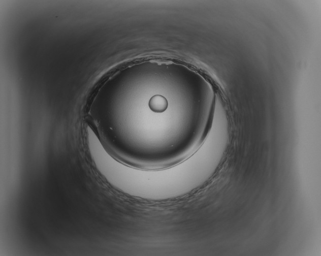 X0000102011496200808011131