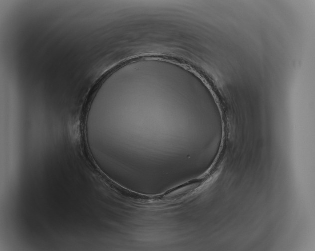 X0000102011497200808011131