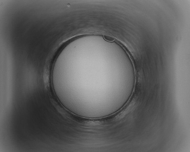 X0000102011499200808011131