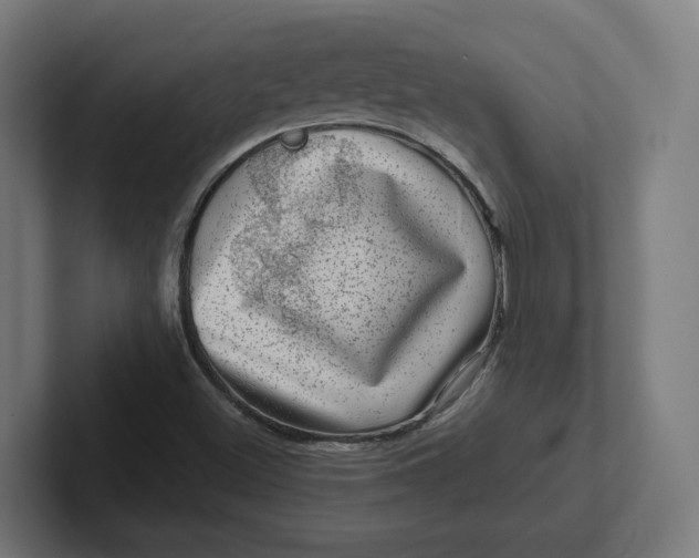 X0000102011500200808011131