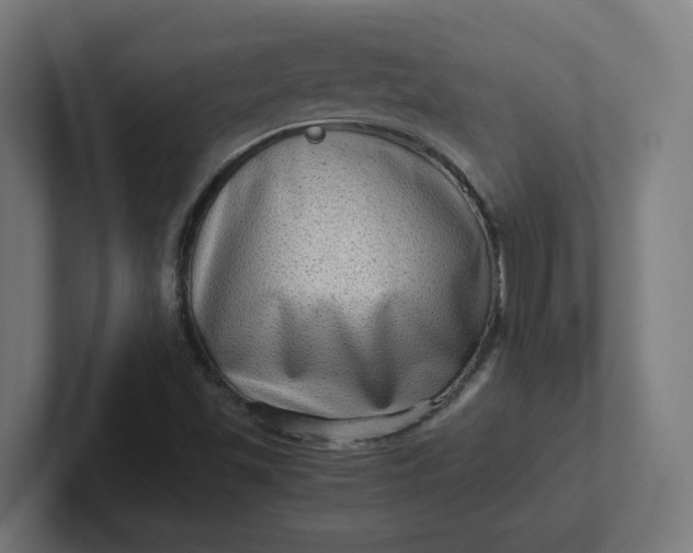 X0000102011501200808011131