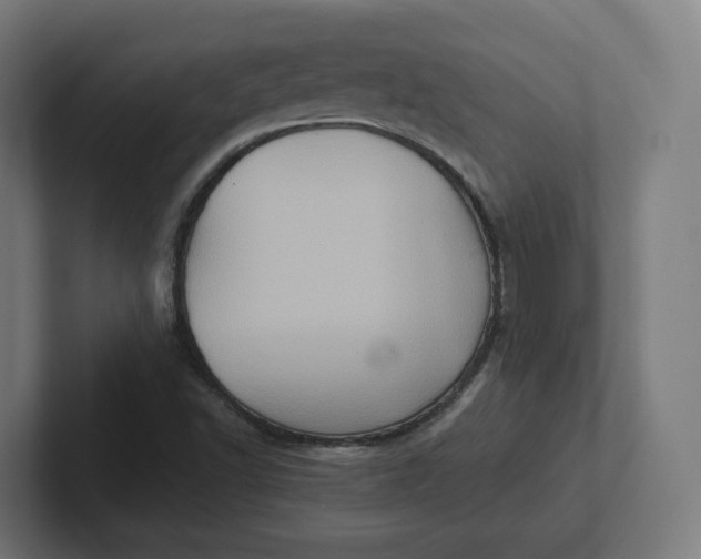 X0000102011502200808011131