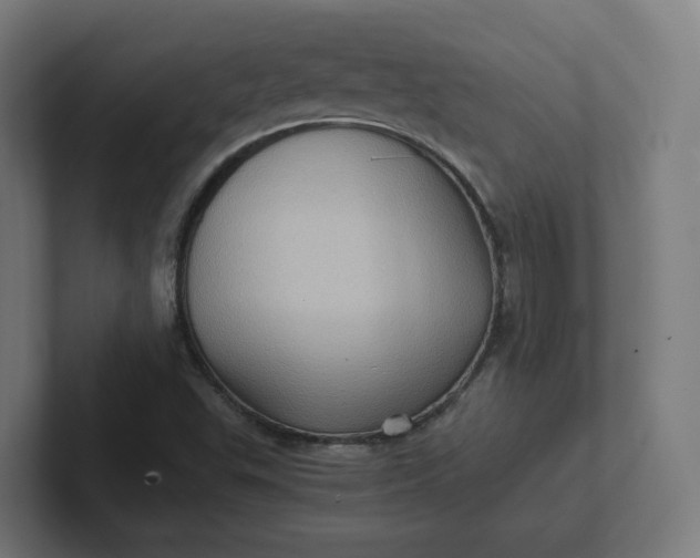 X0000102011503200808011132