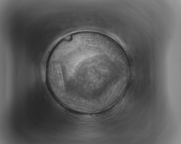 X0000102011504200808011132