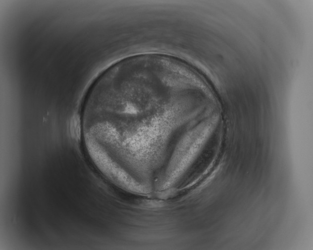 X0000102011509200808011132