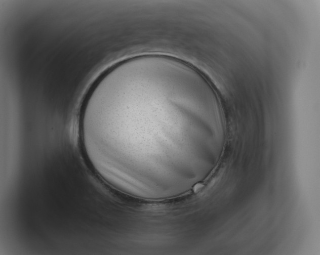 X0000102011511200808011132