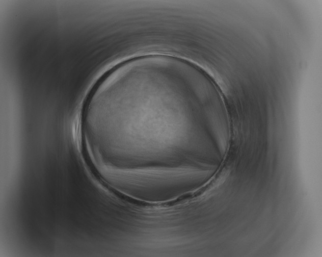 X0000102011515200808011132
