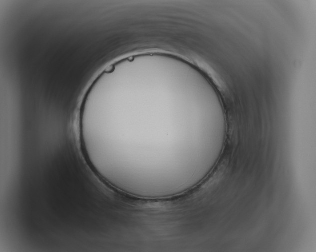 X0000102011516200808011132