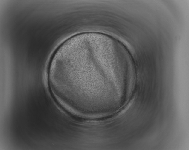 X0000102011517200808011132