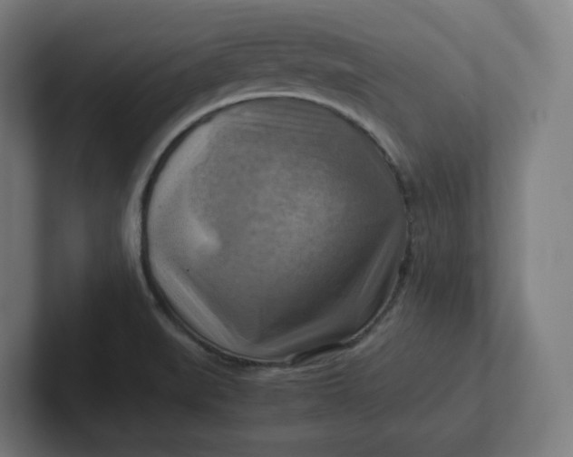 X0000102011519200808011132