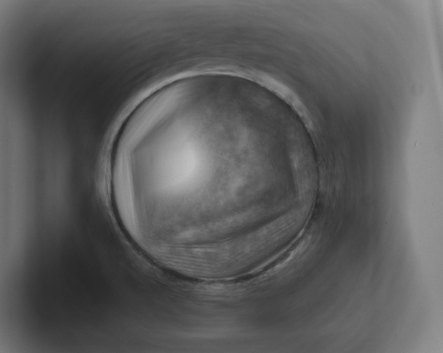 X0000102011520200808011132