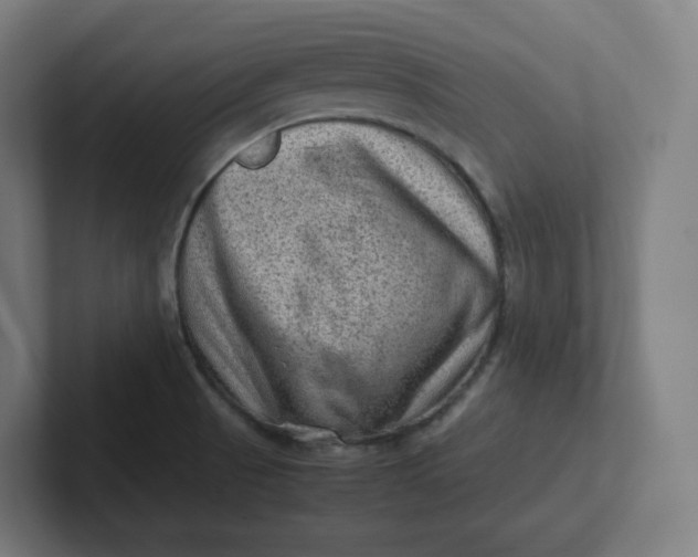 X0000102011521200808011132