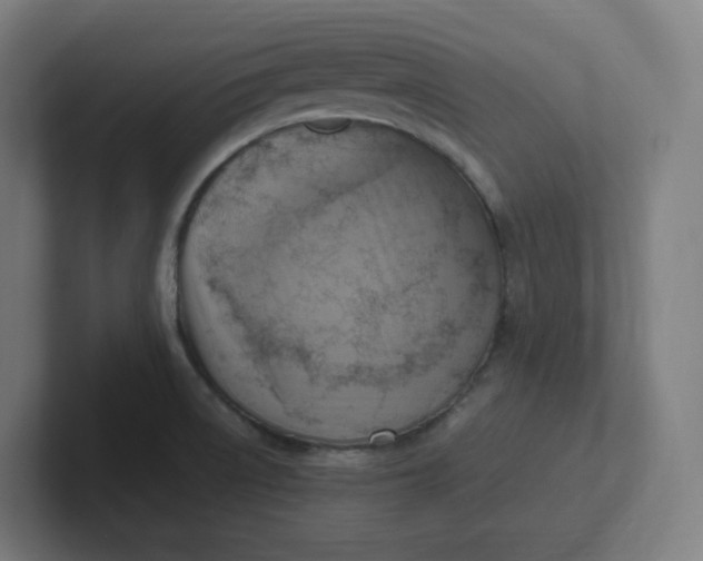 X0000102011522200808011132