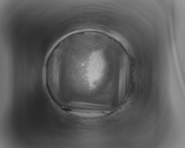 X0000102011524200808011132