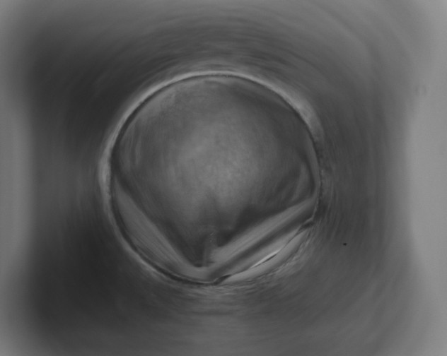 X0000102011527200808011132