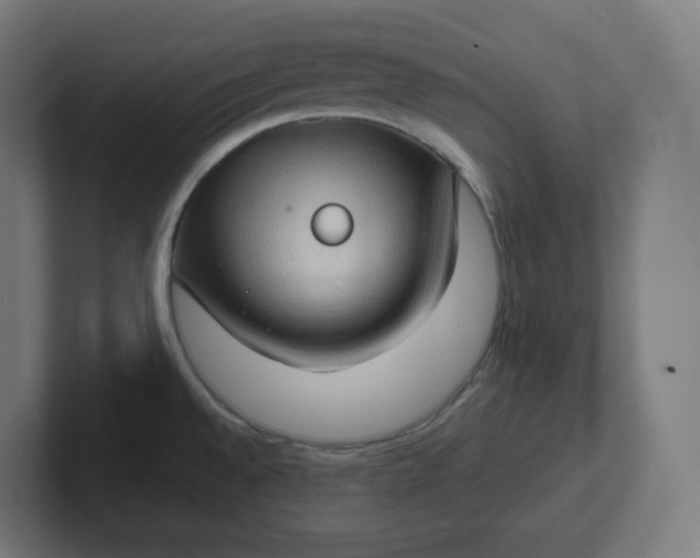 X0000102011528200808011132
