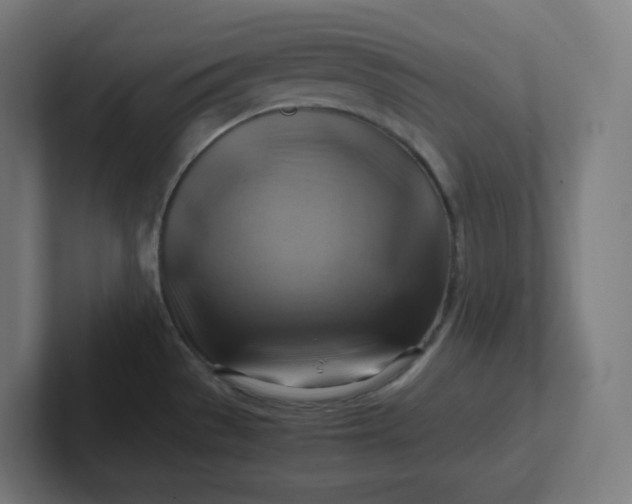 X0000102011529200808011132