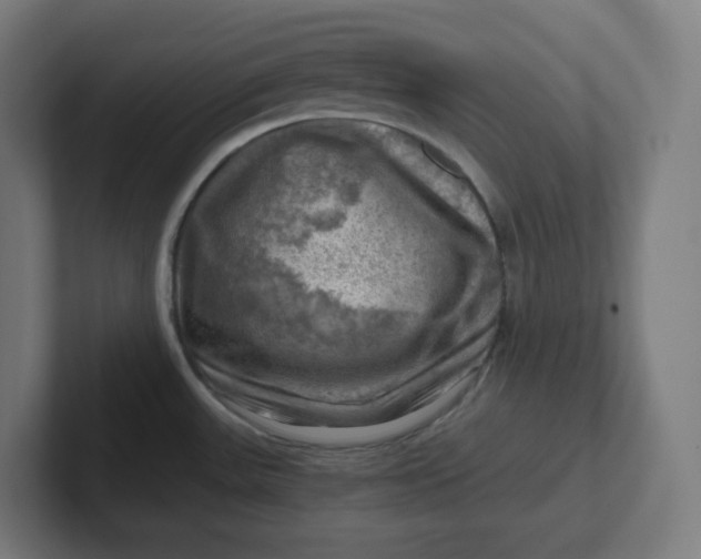 X0000102011531200808011132