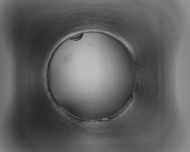 X0000102011534200808011132