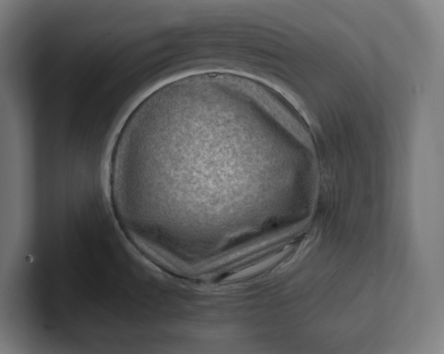 X0000102011535200808011132