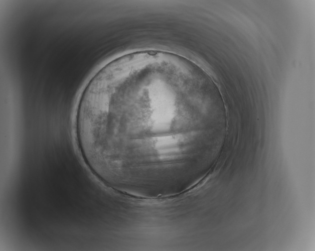 X0000102011536200808011132