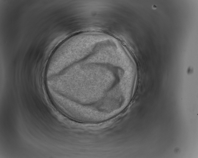 X0000102010001200808081735