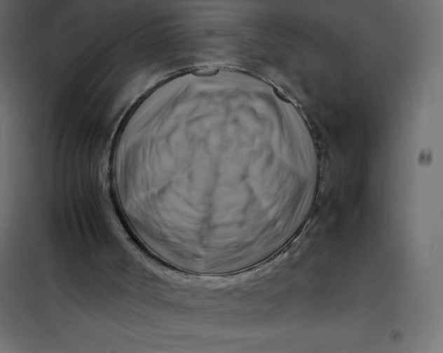 X0000102010002200808081735