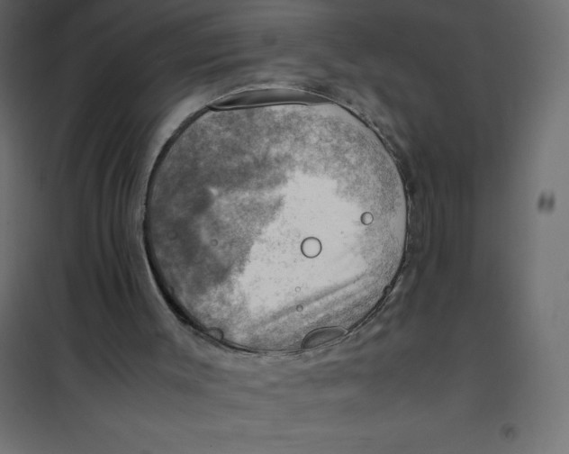 X0000102010003200808081735