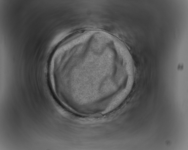 X0000102010005200808081735