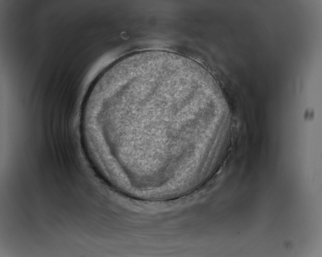 X0000102010006200808081735