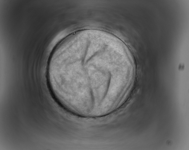 X0000102010007200808081735