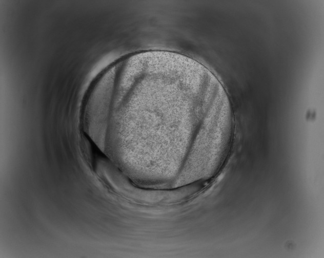 X0000102010008200808081735