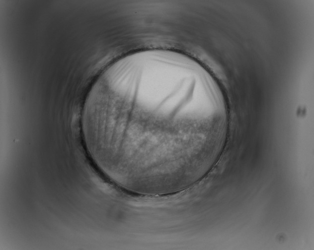 X0000102010009200808081735