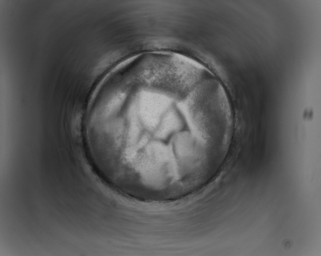 X0000102010010200808081735