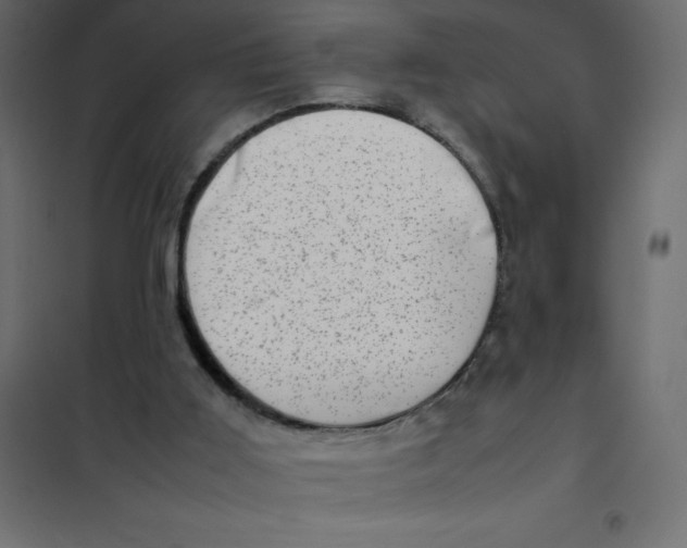 X0000102010011200808081735